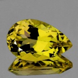 Natural Golden Yellow Beryl (Heliodoor) 12x8 MM - FL