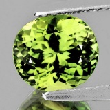 Natural Canary Green Tourmaline 7x6 MM - FL