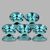 Natural Paraiba Green Blue Apatite 5 Pcs(Flawless-VVS)