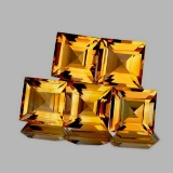 NATURAL GOLDEN YELLOW CITRINE 6 MM 5 Pcs - FL