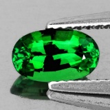 Natural Emerald Green Tsavorite Garnet 1.04 Cts - FL