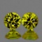 Natural AAA Canary Yellow Sapphire Pair 5 MM - FL