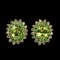 Natural  Peridot & Chrome Diopside Sapphire Eariings