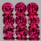 Natural Untreated Hot Pink Red Ruby 9 Pcs [IF-VVS]