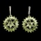 Natural Peridot Rhodolite Garnet 63 Cts  Earrings