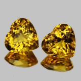 Natural AAA Golden Yellow Citrine Hearts  Pair - FL