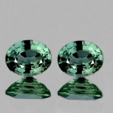 NATURAL BRILLIANT GREEN SAPPHIRE PAIR 6x5 MM - FL