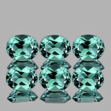 Natural Paraiba Green Apatite 6 Pcs (Flawless-VVS)