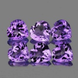 Purple Heart Amethyst 12 mm - VVS