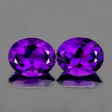 Natural Purple Amethyst Pair {VVS}