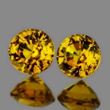 Natural  Golden Yellow Mali Garnet Pair{Flawless-VVS}