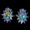 Natural Ethopian Opal & Tanzanite Earrings
