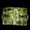 Natural Oval Green Peridot Ring