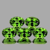 Natural Rare Chrome Green Apatite 5 Pcs (Flawless-VVS)