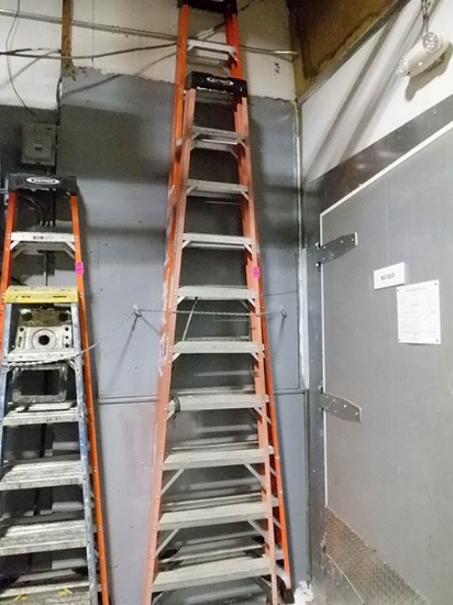 Fiberglass Ladder