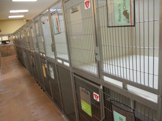 Multi - Cage Kennel