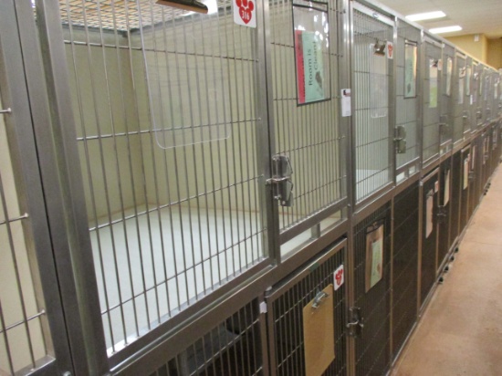 Multi - Cage Kennel