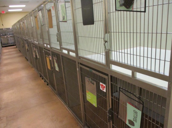 Multi - Cage Kennel