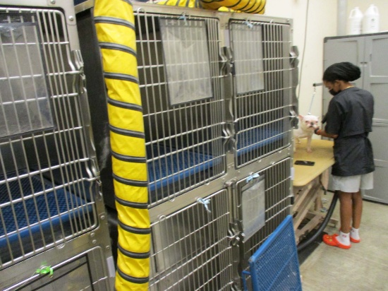 4 Cage Rolling Kennel