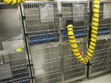 4 Cage Rolling Kennel