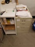 2 Drawer File Cabinet