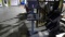 Literature and Advertisement Display Stand