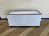 Excellence Industries Stand Alone Freezer - White
