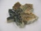 Western Stoneware Leaf Paperweight