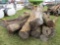 Hedge Posts