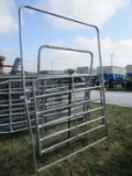 Walk Through Gate