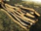 (20) Hedge Posts