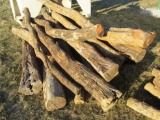 (20) Hedge Posts