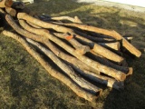(20) Hedge Posts