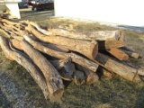 (20) Hedge Posts