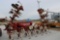 IH 133 (12) Row Cultivator