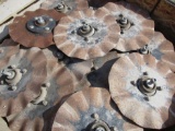 Set of (24) Kinze Coulters