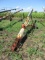 Westernfield 10