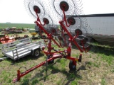 Agco V10 Hayrake