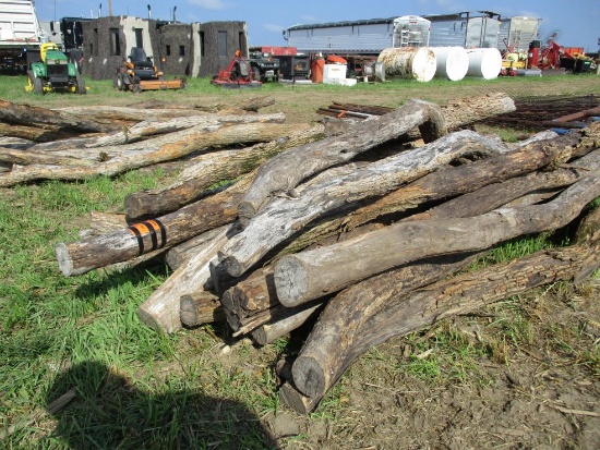 (20) Hedge Posts