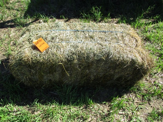 Lot of (100) Square Hay Bales