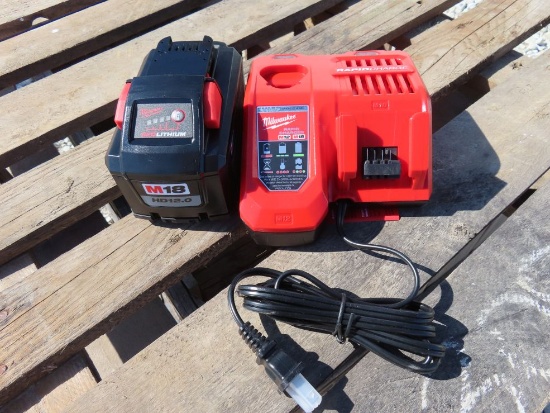 Milwaukee M18 Red Lithium HD 12.0 Battery