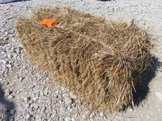 (17) Grass Hay Square Bales