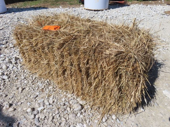(20) Grass Hay Square Bales