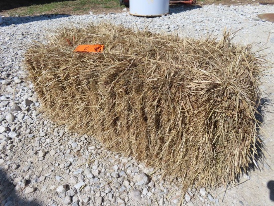(20) Grass Hay Square Bales