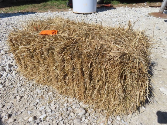 (20) Grass Hay Square Bales