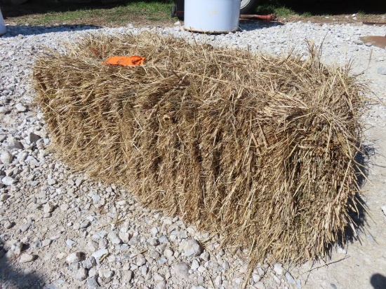 (20) Grass Hay Square Bales