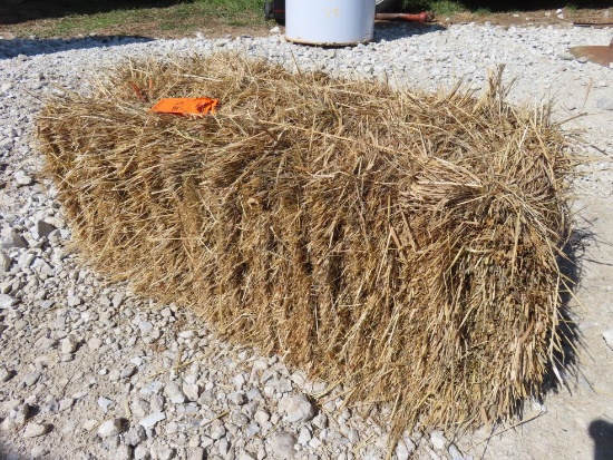 (20) Grass Hay Square Bales