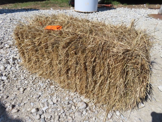 (20) Grass Hay Square Bales