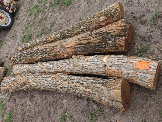 (4) Corner Hedge Posts
