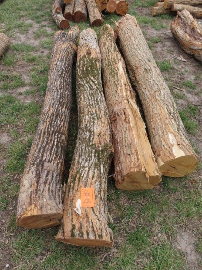 (4) Corner Hedge Posts
